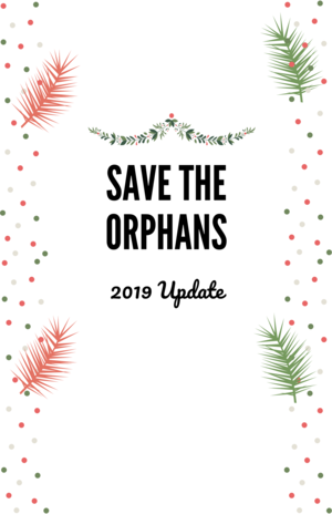 Save the Orphans 2019 update